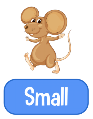 Vietnamese Alphabet: Example for each letter (with picture) 57 small