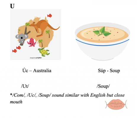 Syllable (Vowels with consonants) 15 u1