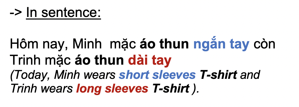 Danh từ chỉ Đồ Vật : Quần áo - Thời trang (Clothing- Fashion) 54 IzLnfI1