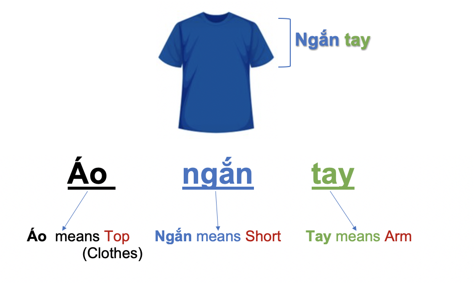 Danh từ chỉ Đồ Vật : Quần áo - Thời trang (Clothing- Fashion) 45 v3OsgrU