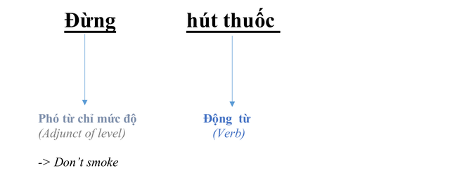 adjunct-position-1
