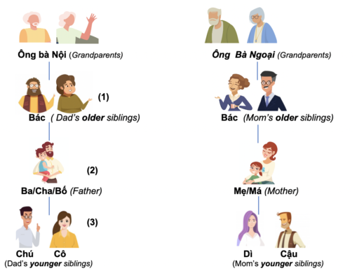 Gia đình và Họ hàng (Family and Relative) 8 family 3