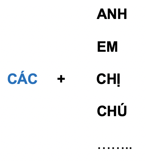 Đại từ nhân xưng: Pronoun 16 nf5gfup