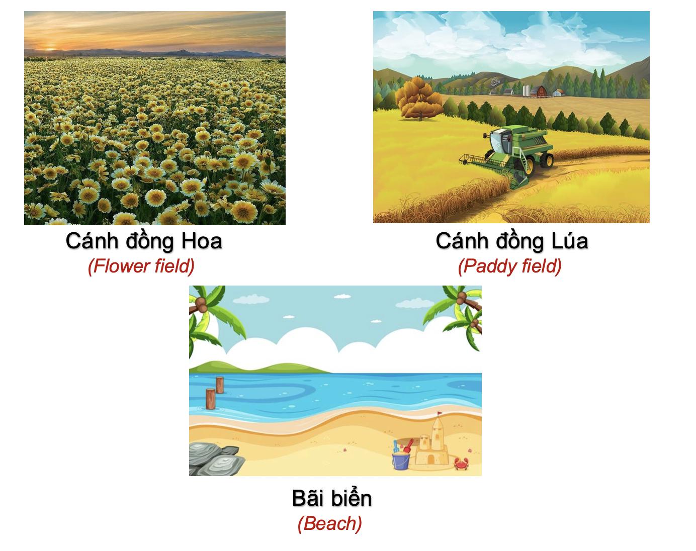 Danh từ Cụ thể (Concrete Noun) - Địa điểm (Places) 62 utvUomB