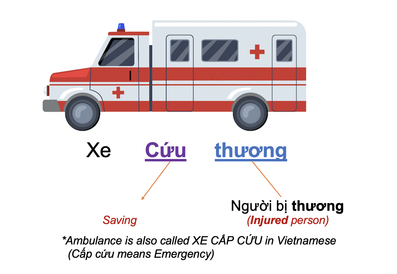 Danh từ Cụ thể (Concrete noun) - Phương tiện giao thông (Transport) 12 3f5BRPU