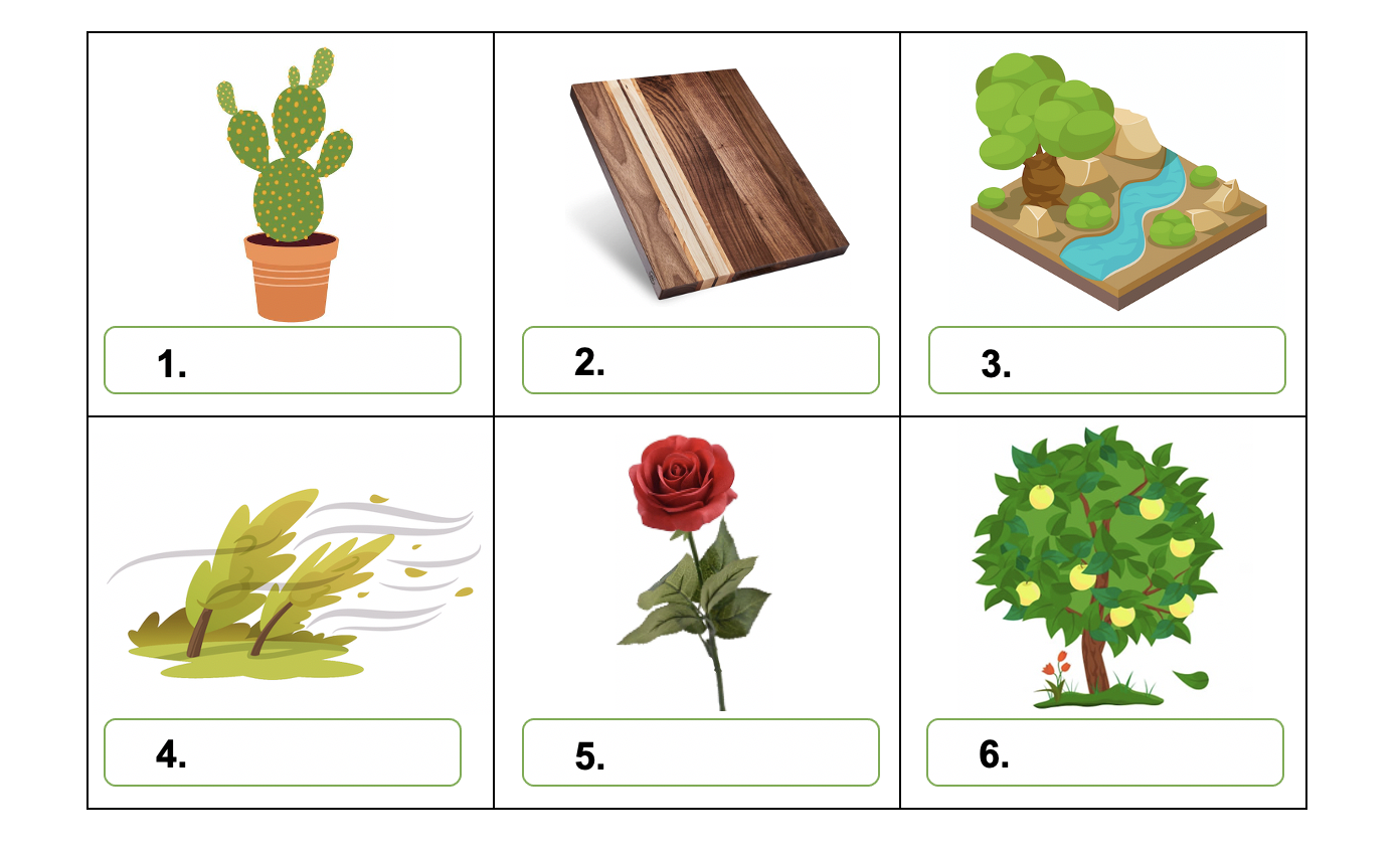 Danh từ Cụ thể (Concrete noun)- Danh từ chỉ Thiên nhiên (Nature) 79 0Jc5mYO