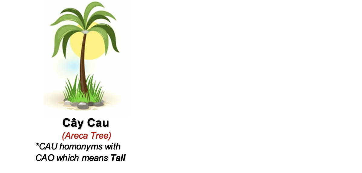 Danh từ Cụ thể (Concrete noun)- Danh từ chỉ Thiên nhiên (Nature) 52 0RYDDGe