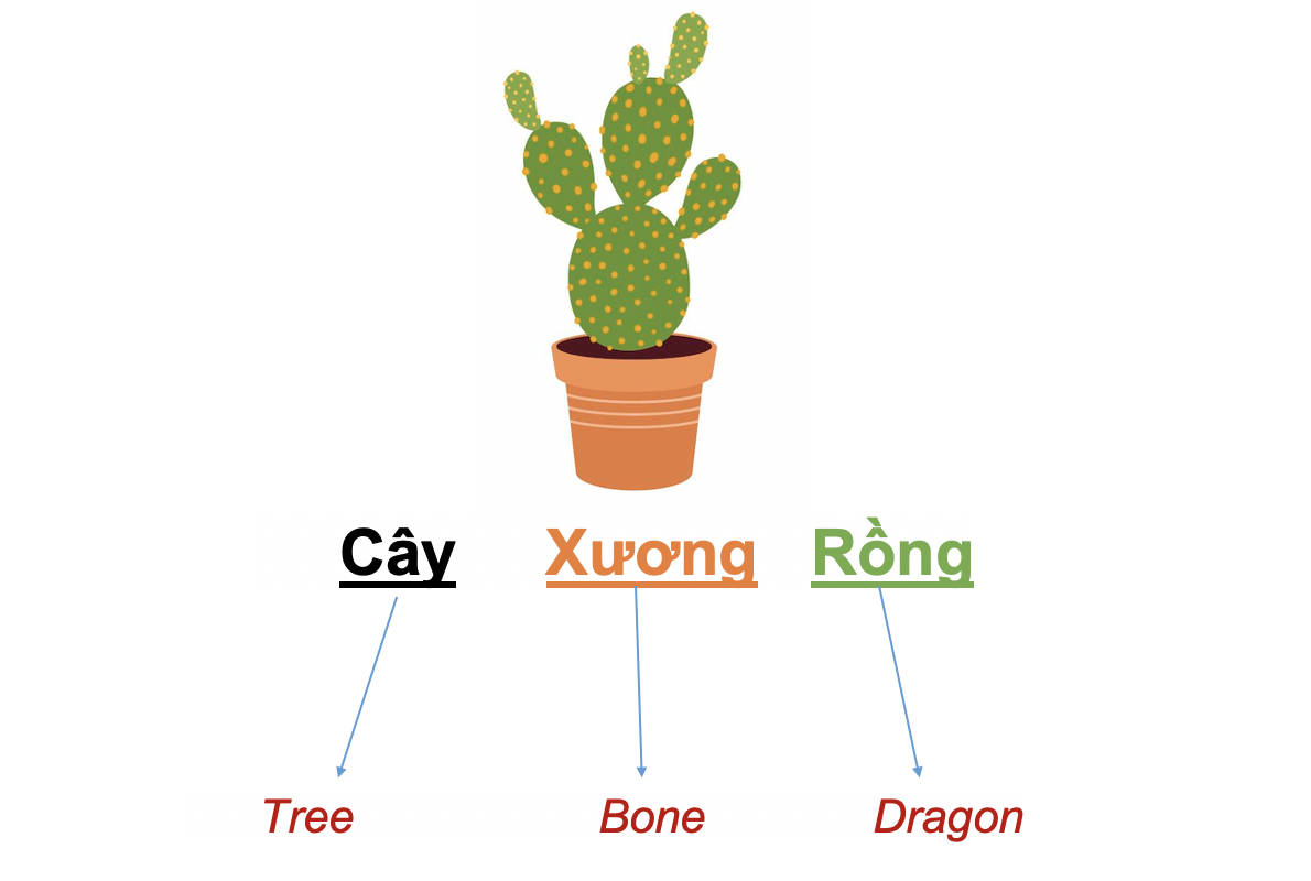 Danh từ Cụ thể (Concrete noun)- Danh từ chỉ Thiên nhiên (Nature) 48 4fAAJP6