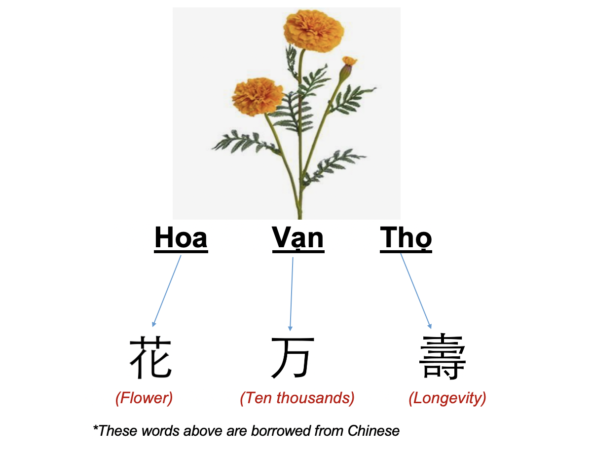 Danh từ Cụ thể (Concrete noun)- Danh từ chỉ Thiên nhiên (Nature) 31 BHZLI6v