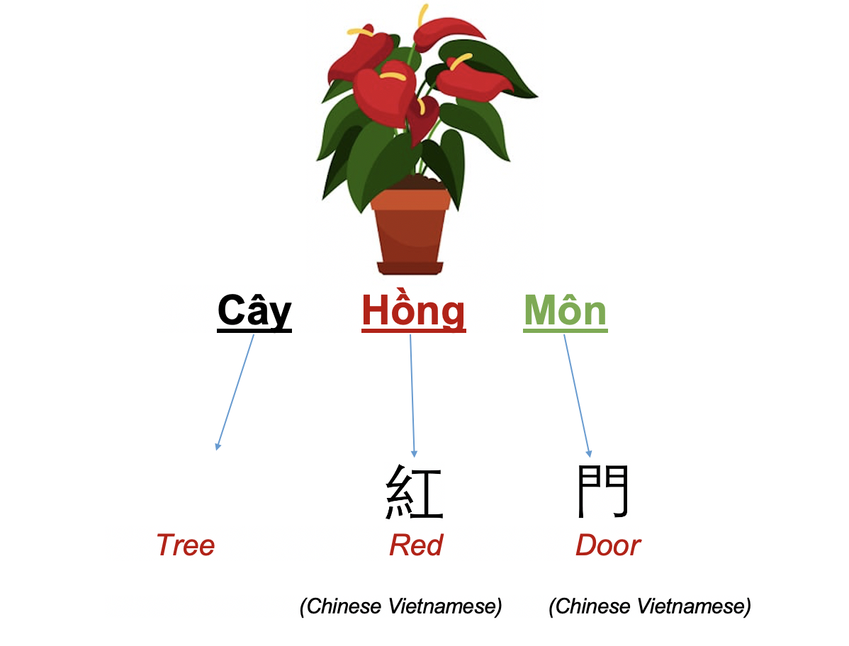 Danh từ Cụ thể (Concrete noun)- Danh từ chỉ Thiên nhiên (Nature) 45 FFNRedI