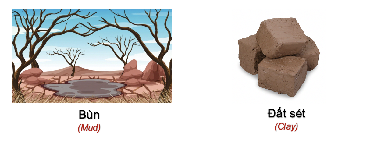 Danh từ Cụ thể (Concrete noun)- Danh từ chỉ Thiên nhiên (Nature) 66 GWIEVMz