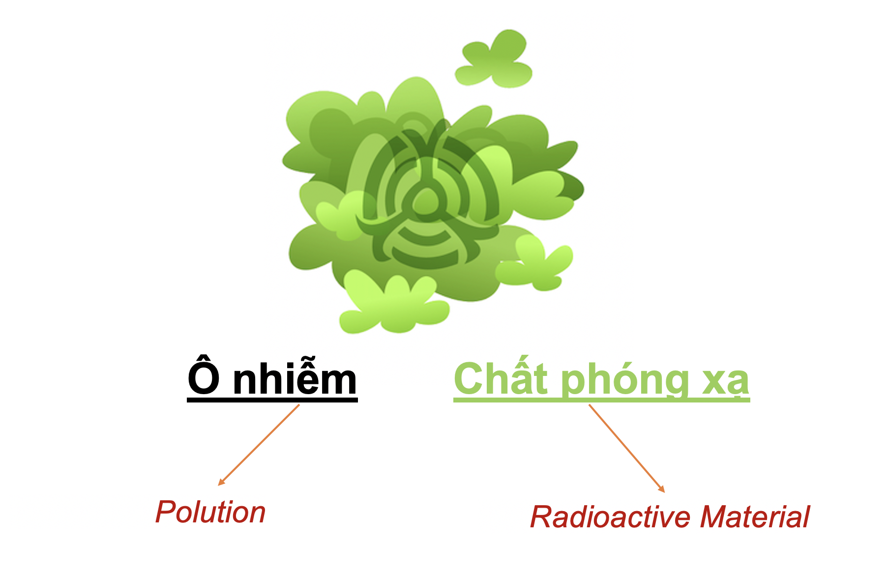 Danh từ Cụ thể (Concrete noun)- Danh từ chỉ Thiên nhiên (Nature) 25 QDCJN3N