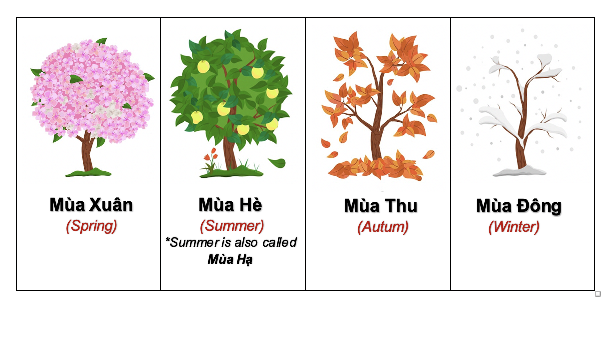Danh từ Cụ thể (Concrete noun)- Danh từ chỉ Thiên nhiên (Nature) 14 Rg2TOUz
