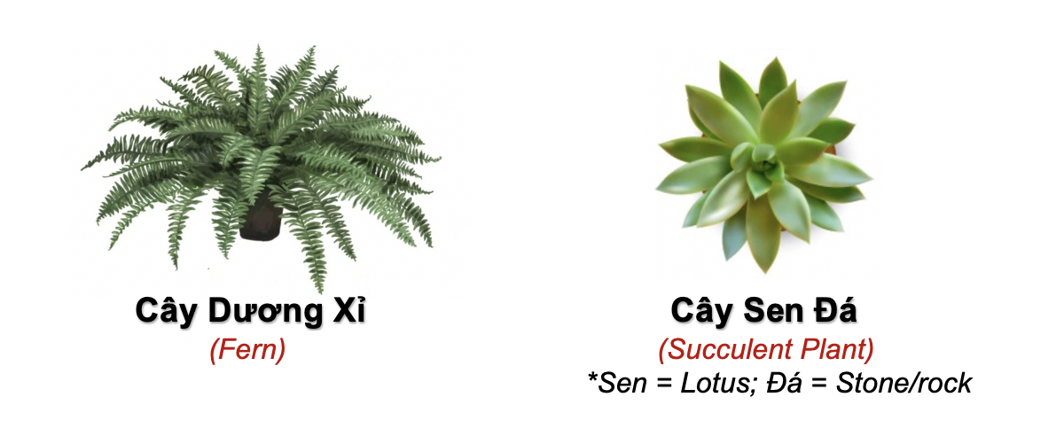 Danh từ Cụ thể (Concrete noun)- Danh từ chỉ Thiên nhiên (Nature) 41 VcN8Z9V