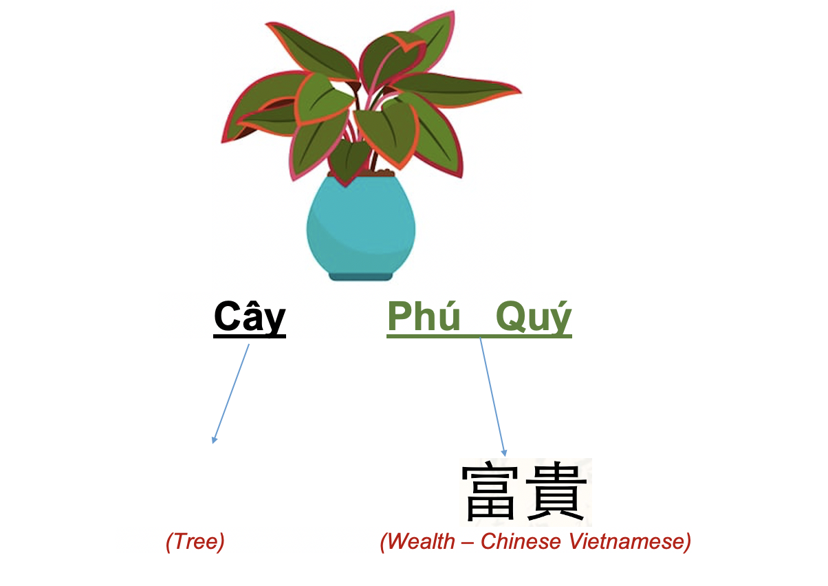 Danh từ Cụ thể (Concrete noun)- Danh từ chỉ Thiên nhiên (Nature) 46 YsKV6ki
