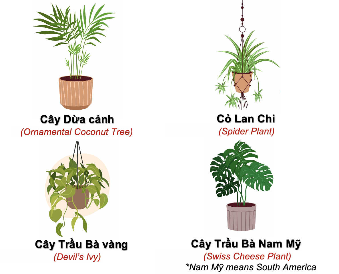 Danh từ Cụ thể (Concrete noun)- Danh từ chỉ Thiên nhiên (Nature) 40 cG77YRU