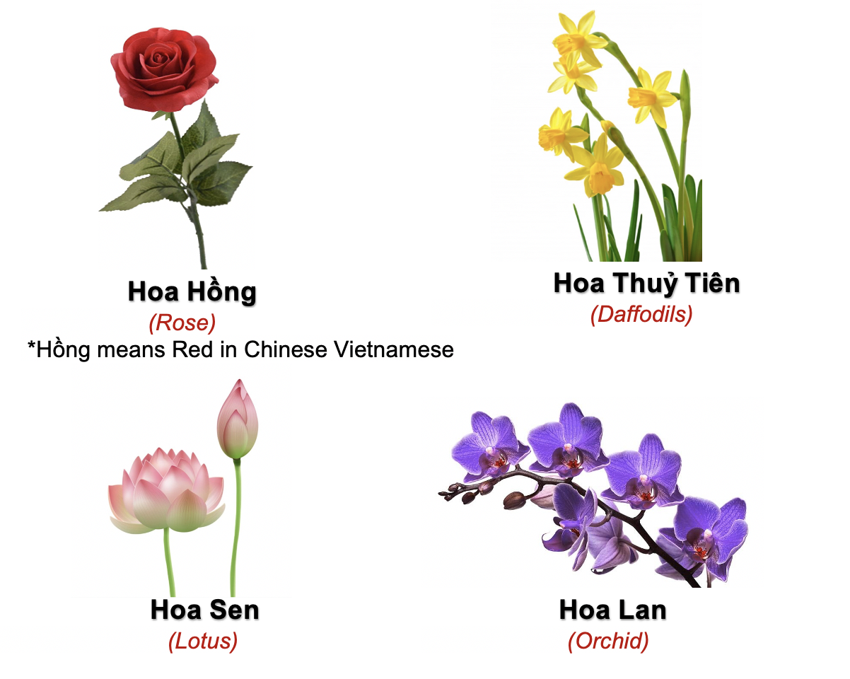 Danh từ Cụ thể (Concrete noun)- Danh từ chỉ Thiên nhiên (Nature) 35 gOoyEW1