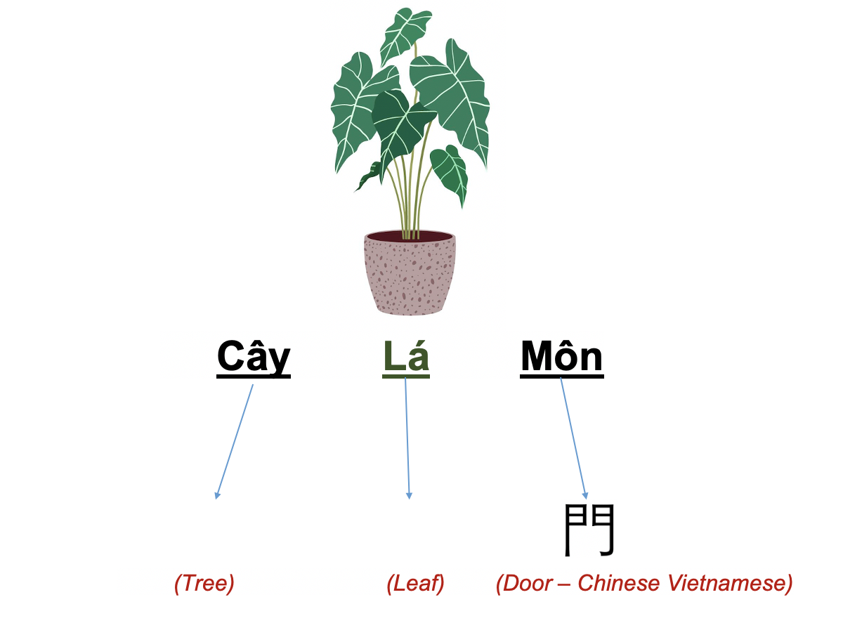Danh từ Cụ thể (Concrete noun)- Danh từ chỉ Thiên nhiên (Nature) 44 ojeJevT