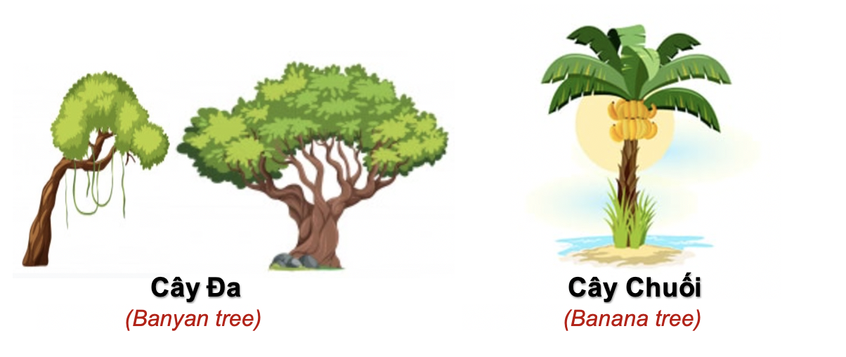 Danh từ Cụ thể (Concrete noun)- Danh từ chỉ Thiên nhiên (Nature) 51 qVMehJh
