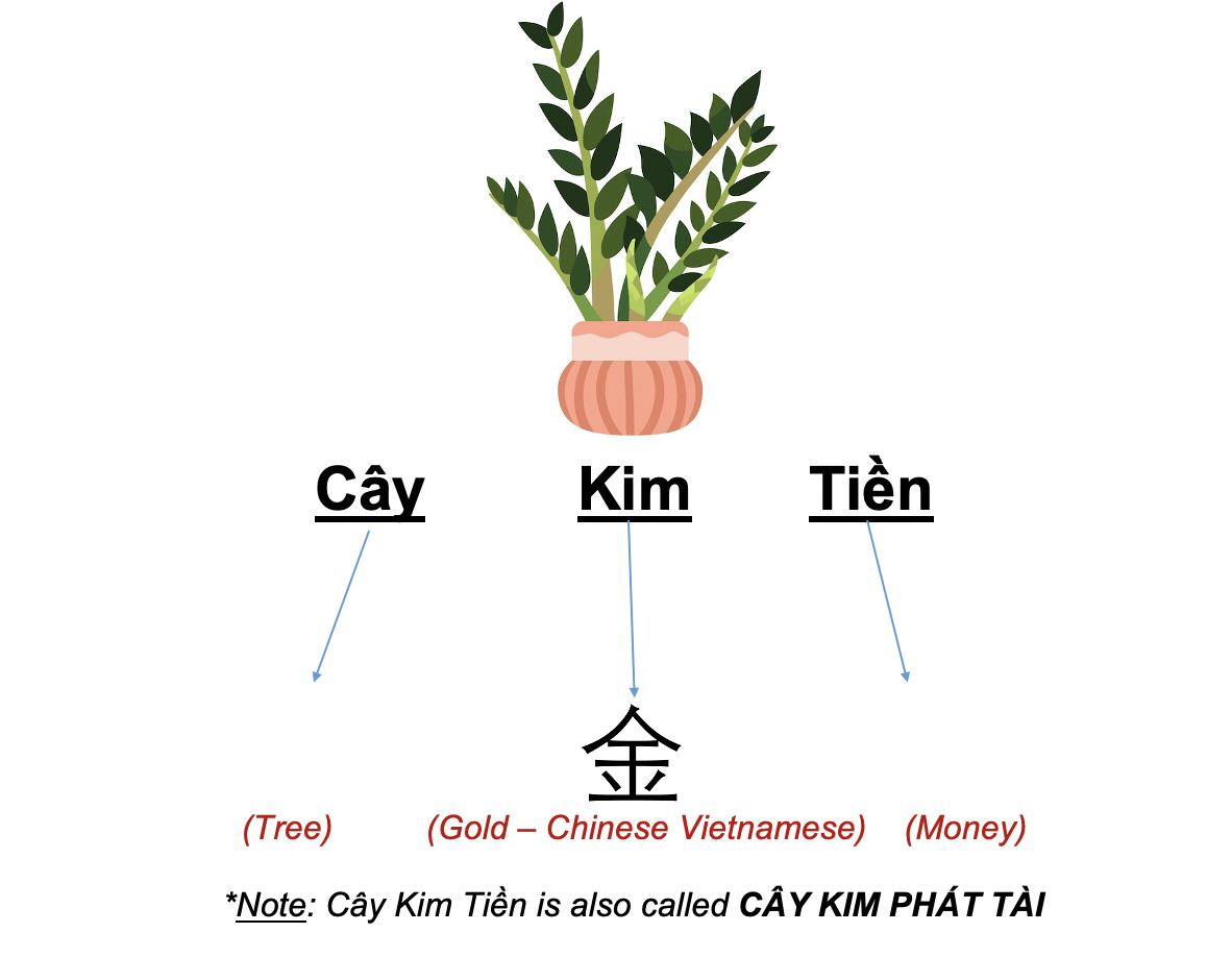 Danh từ Cụ thể (Concrete noun)- Danh từ chỉ Thiên nhiên (Nature) 43 uKkY7KT