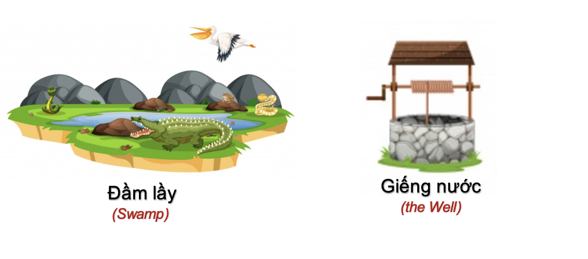 Danh từ Cụ thể (Concrete noun)- Danh từ chỉ Thiên nhiên (Nature) 57 yJFeXyj