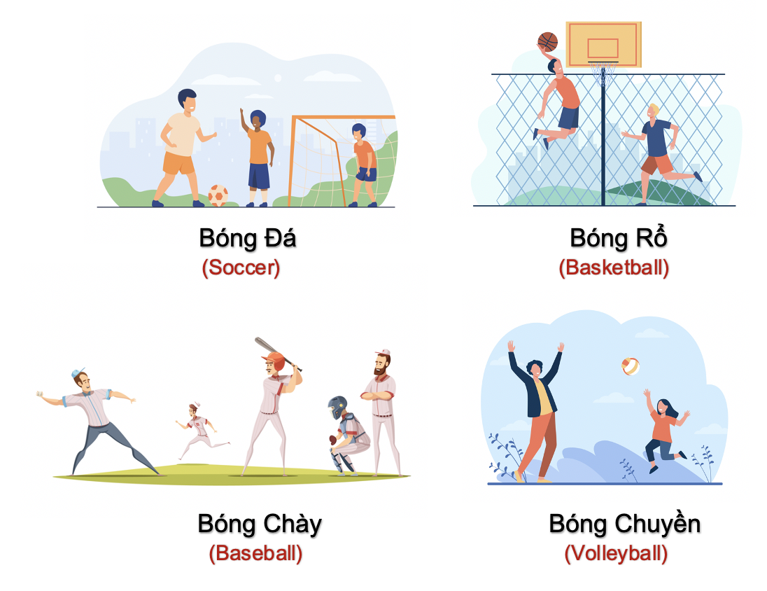 Thể dục và thể thao (Exercises and Sports) 18 MjTTtwk