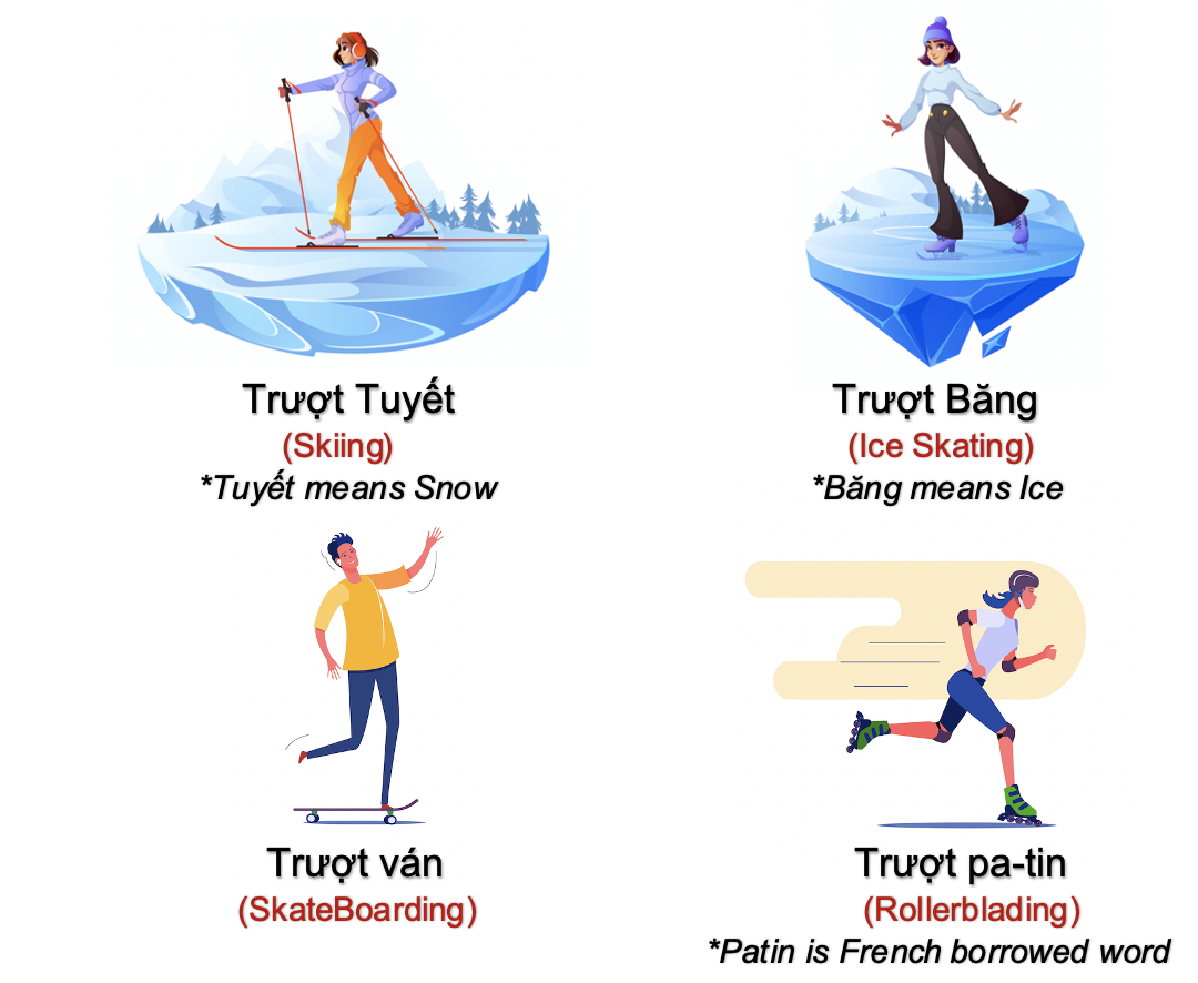 Thể dục và thể thao (Exercises and Sports) 10 QfQmLf2